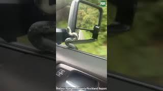 Shocking Video Shows a Snake Slithering up a Car Window While Driving