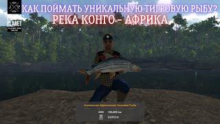 КАК И ГДЕ ПОЙМАТЬ УНИКАЛЬНУЮ АФРИКАНСКУЮ ТИГРОВУЮ РЫБУ В FISHING PLANET? РЕКА КОНГО - АФРИКА