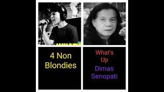 4 Non Blondies - Whats Up - Acoustic cover by Dimas Senopati REACTION