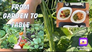 From garden to table  Harvesting Vegetables From Our Backyard