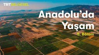 Anadoluda Yaşam  Ova  TRT Belgesel