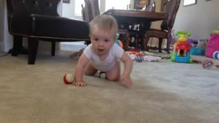 Evie crawls 8 months