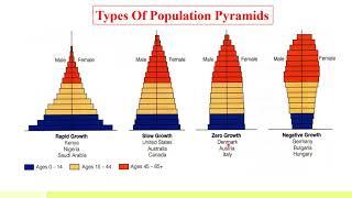 Population Pyramid  Age Structure  Types of Population Pyramids  How to Read a Population Pyramid