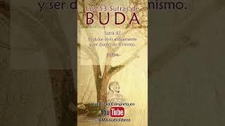 Buda - Sutra 47 Del Audiolibro Los 53 Sutras de Buda #audiolibro #buda #budismo #espiritualidad