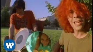 The Flaming Lips - She Dont Use Jelly Official Music Video