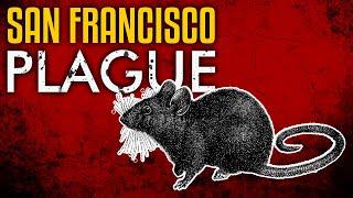 The Bubonic Plague in San Francisco