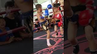 This little Thai fighter is fearless #muaythai #martialarts #fighter #fighting