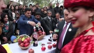 Azerbaijans Goychay city is considered the pomegranate homeland