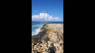 Devils Bridge  Antigua & Barbuda #shorts #shortsfired