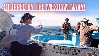Mexican NAVY With GUNS Out  Sailing Adventures On The BAJA West Coast