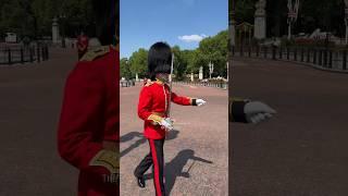 King’s Guards on Royal Duty Outside Buckingham Palace London