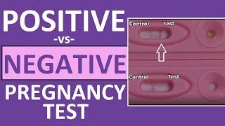 Pregnancy Test Positive vs Negative Results Time Lapse