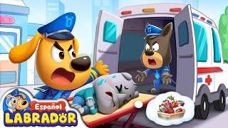 Compilación de Sheriff Labrador - NO NO Comas Comida Sucia  Videos de Niños  BabyBus en Español