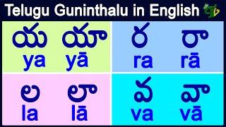 ya ra la va guninthalu in English  య ర ల వ గుణింతాలు How to write telugu guninthalu