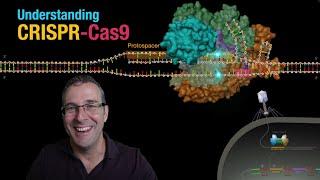 Understanding CRISPR-Cas9