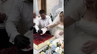 Жених и невеста нарезают торт на свадьбе 