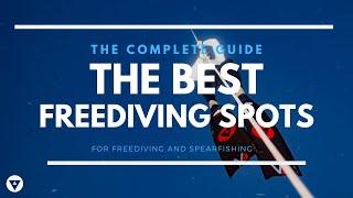 The Complete Guide  The Best Freediving Spots