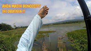 MANCING NENG NILA UMPAN LUMUT ANTI GABOLL