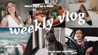 WEEKLY VLOG Cheap Dinner Recipes VIVAIA Haul Flight Attendant Trips & More