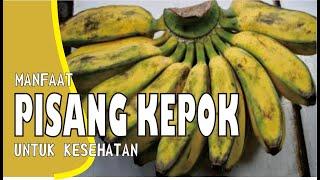 MANFAAT PISANG KEPOK UNTUK KESEHATAN