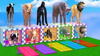 Cow Elephant Lion Gorilla T Rex Giant Mystery Pool Challenge ESCAPE ROOM CHALLENGE Animals Cage Game