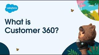 What is Customer 360?