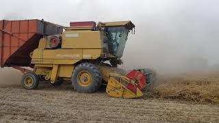 Wheat Harvesting in pakistan Newholand 8080