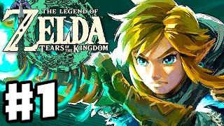 The Legend of Zelda Tears of the Kingdom - Gameplay Walkthrough Part 1 - Links New Arm