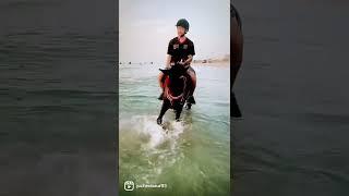 Riding at the Beach in Umm al Qaiwain. Instagram jochenbaur93