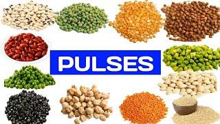 PULSES NAMES  PULSES NAMES IN ENGLISH  DAL NAMES  NAMES PULSES  PULSES