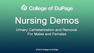 Nursing Demos Urinary Catheterization and Removal for Males and Females