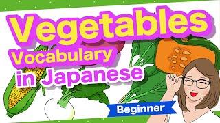 Top 10 Vegetables Vocabulary in Japanese Turnip Onion Sweet Potato Pumpkin Cucumber etc