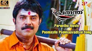 Poomayile Pookkaavadiyai 4K Video Song  Parunthu Malayalam Movie  M.G. Sreekumar  Mammootty