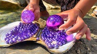 Uncovering the Mystery of River Clams The Story of a Girl Collecting Purple Pearl