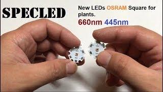 New LED Osram Square for plants. 660nm 450nm. SMD 3030