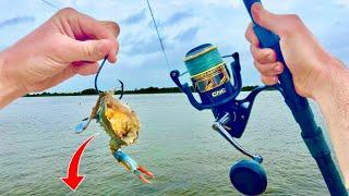 Fishing this DEEP CHANNEL with BLUE CRABS for BIG FISH