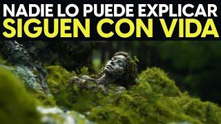 ESTO ES 21 Lugares Más MISTERIOSOS Que Los Científicos Aún No Pueden EXPLICAR.