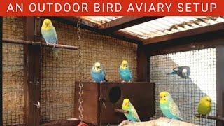 An Outdoor Bird Aviary Setup  Bird Aviary  Budgies Outdoor Cage  Bird Cage Cheap Setup