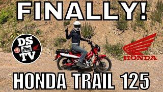 Honda Trail 125 CT 125 Full On and Off Road Test and Review - Best Mini Moto?