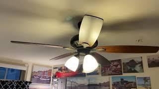 Alexa Ceiling Fan & Lights