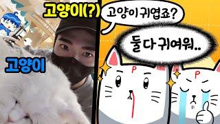 스트리머들과 고양이 카페에 가봤습니다 ㅋㅋㅋ