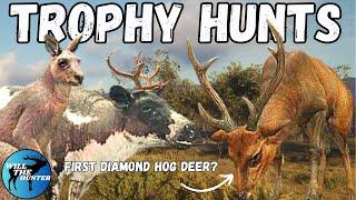 First Diamond Hog Deer? Piebald Reindeer + More TheHunter  Call Of The Wild Trophy Hunts