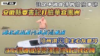 安徽縣委書記打臉華容團洲！隨州洪災車主崩潰，湖北京山屋內水深兩米，316國道沿線變澤國，絕收已成定局。