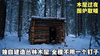独自建造一栋森林木屋，深夜大雪纷飞，和狗子围着火炉相拥而眠