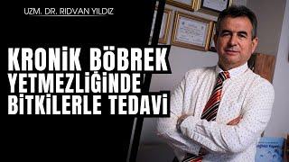 Kronik böbrek yetmezliğinde bitkilerle tedavi  Dr. Rıdvan Yıldız