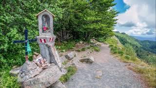 MONTE ZATTA PARCO DELLAVETO ANELLO A10 LIGURIA