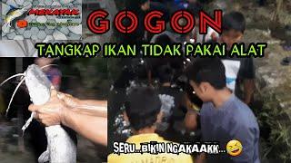 MENANGKAP IKAN TANPA ALAT  ALIAS GOGON SERUNYA BIKIN NGAKAK  fishing traditional