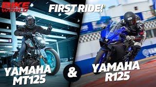 2023 Yamaha R125 & MT125  On Road And Track First Ride