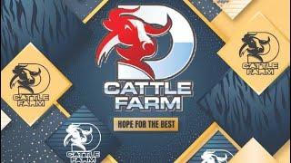 D Cattle Farm Home Qurbani 2024