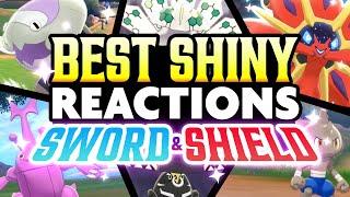 The BEST SHINY REACTIONS in POKEMON SWORD and SHIELD Shiny Montage
